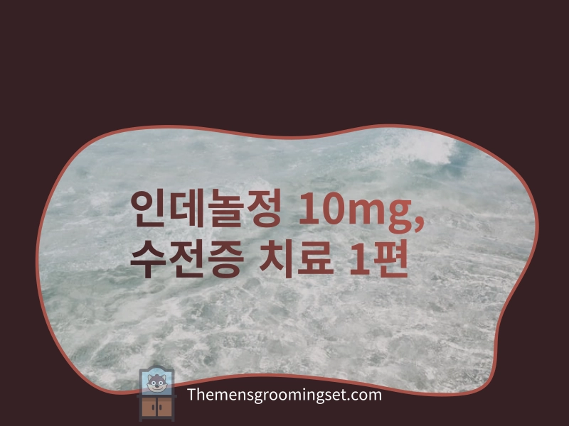 수전증 치료 1편, 인데놀정 10mg 효능과 부작용