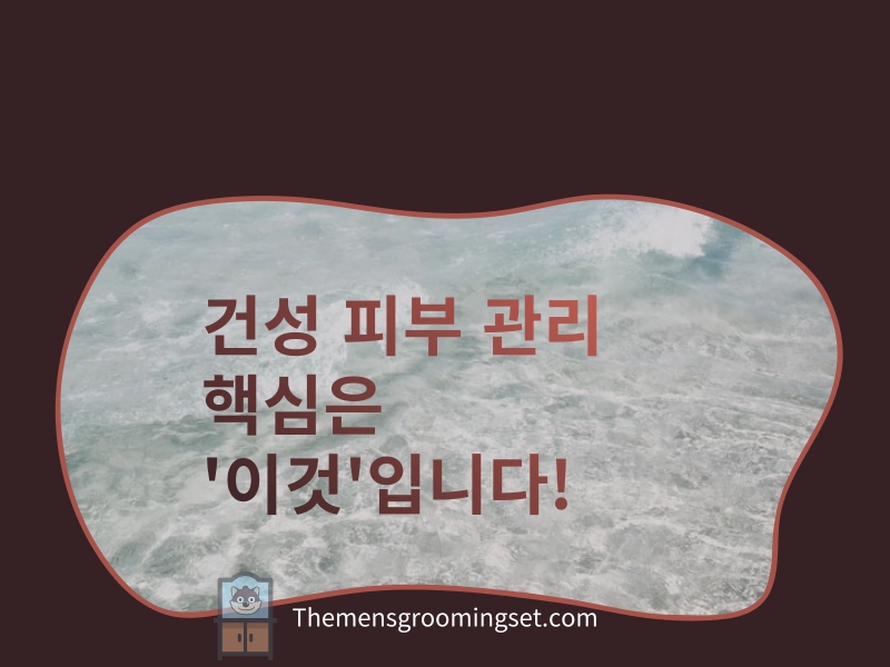 건성 피부 관리 방법 대표 이미지