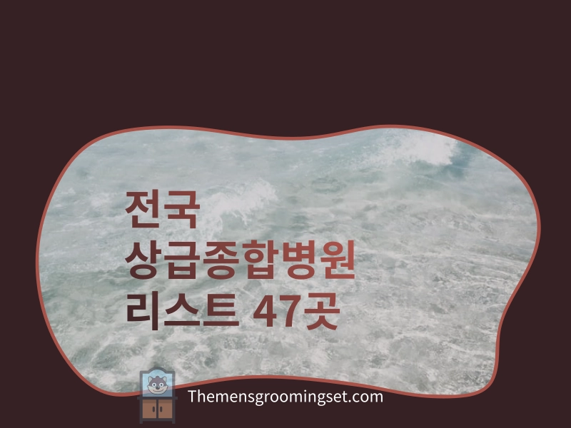 상급종합병원 리스트 47곳