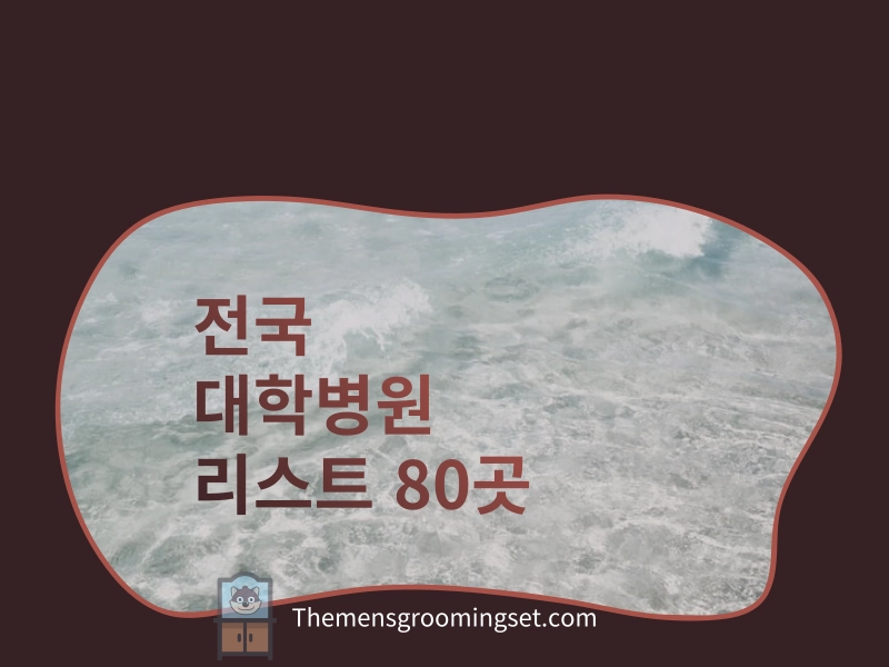 전국 대학병원 리스트 80곳 대표 이미지