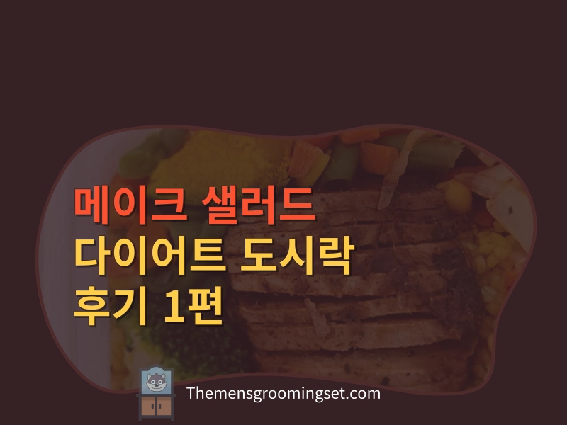 메이크 샐러드 다이어트 도시락 후기 1편