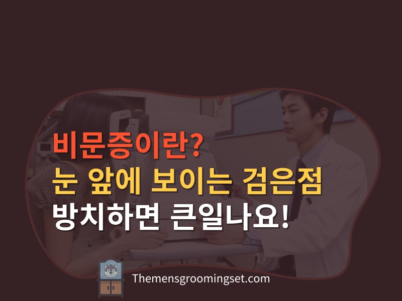 비문증이란
