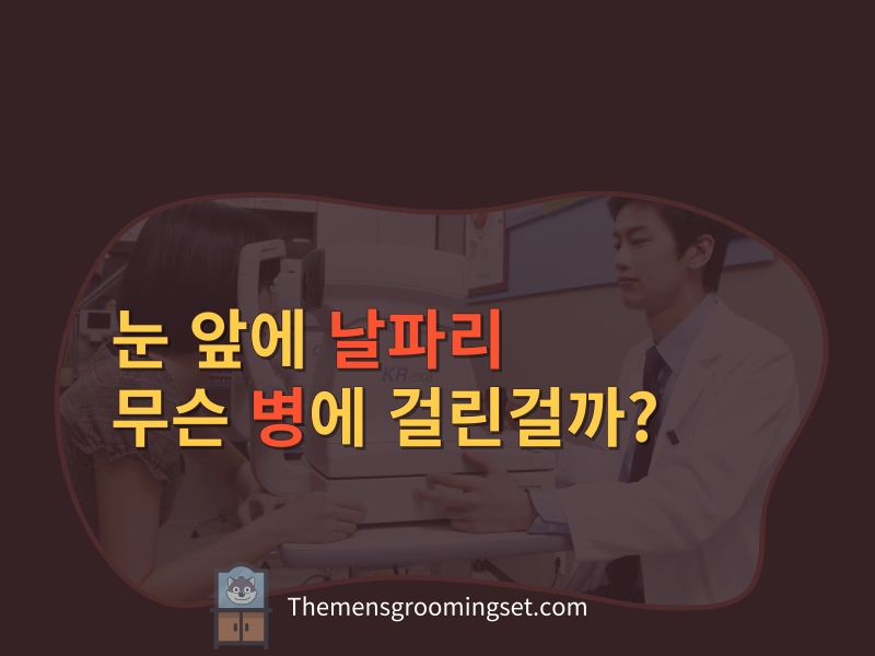눈 앞에 날파리 증상 병명과 원인