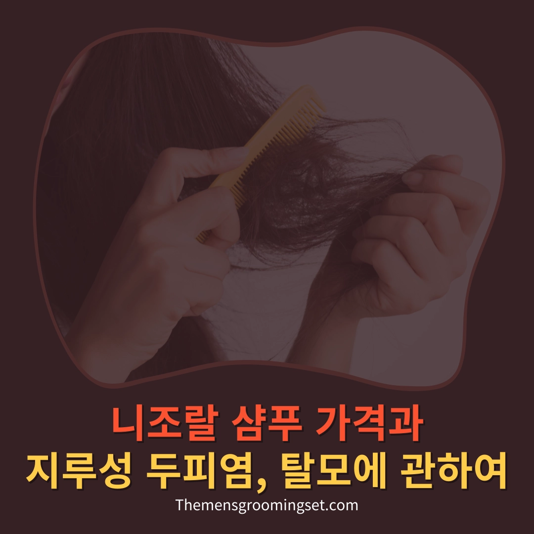 니조랄 가격 대표 이미지