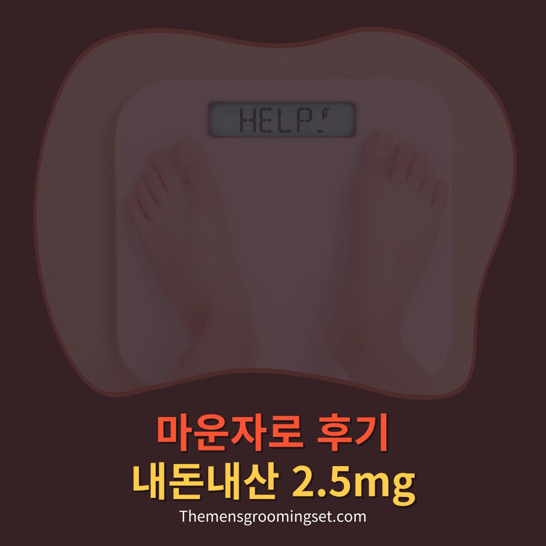 마운자로 후기 내돈내산 대표 이미지