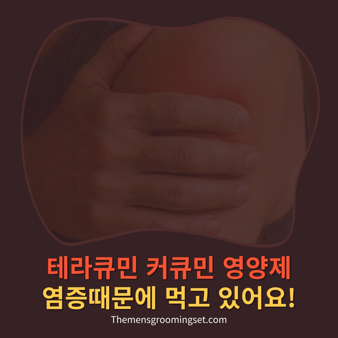 테라큐민 커큐민 영양제